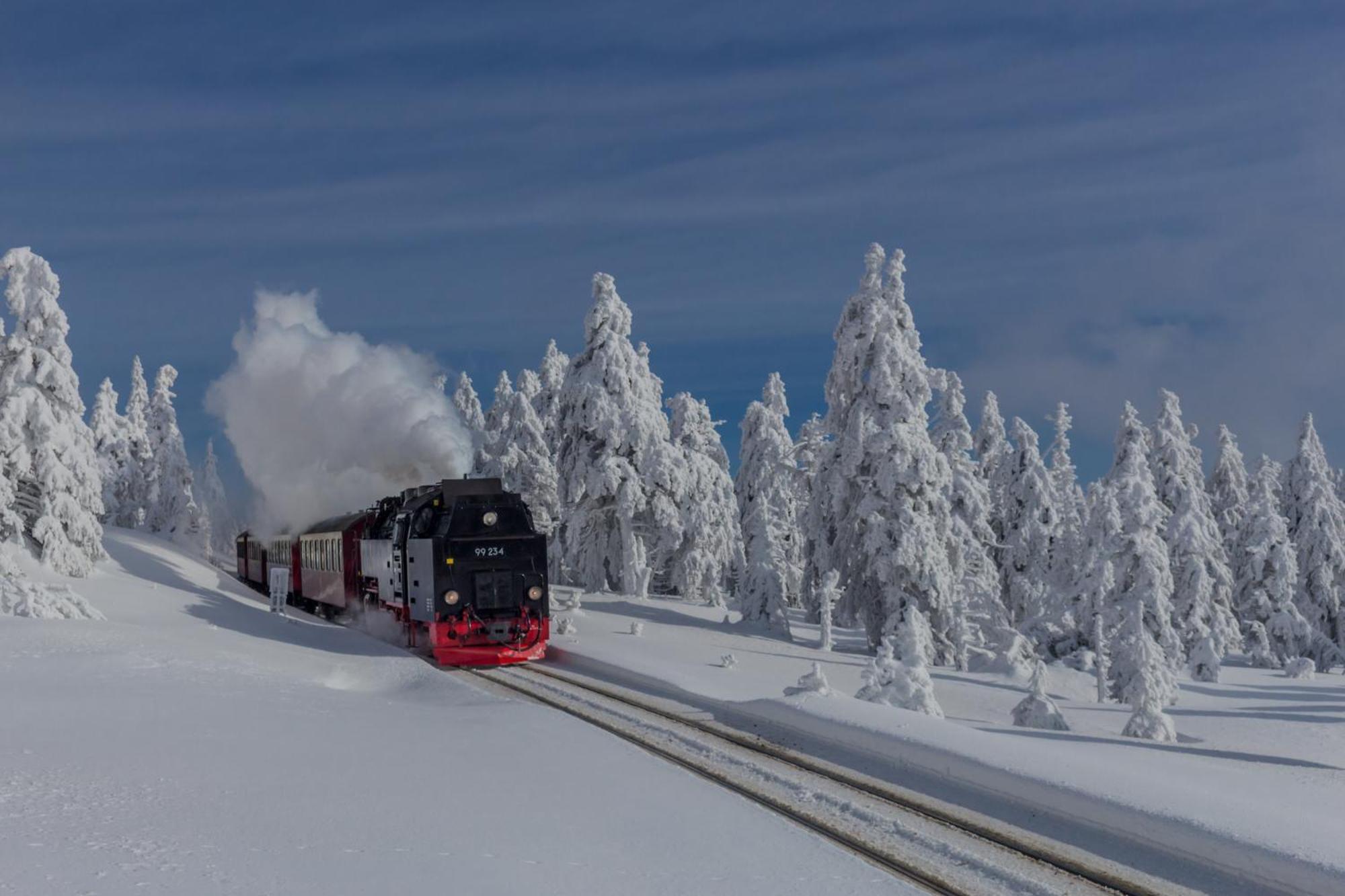 Traumfewo Palais #Innenstadt #Garten #Netflix Von Harztraveler Wernigerode Ngoại thất bức ảnh